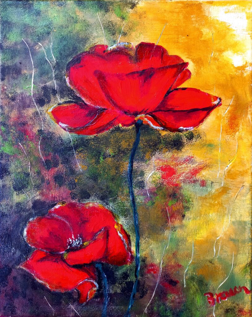 Two poppies - braungallery